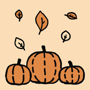 native flat art style illustration orange pumpkins