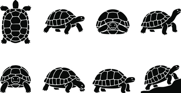Black turtle and tortoise set silhouettes shown walking and with shell detail