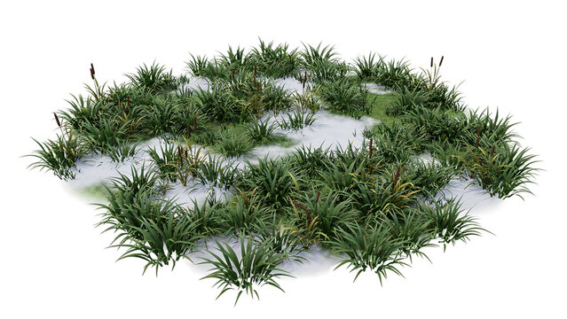 Close-up of green grass plants growing in a circular pattern on white background