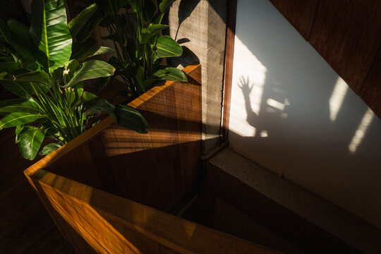 Wall Light