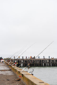 fishing dock