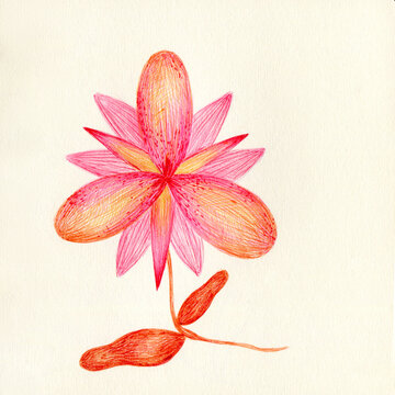 Fantasy botanical art
