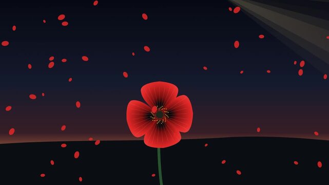 Minimalist 2D animation of a solitary red poppy flower standing alone in a dark landscape with falling red petals and soft sunbeams, symbolizing remembrance, hope, and peace in solitude.