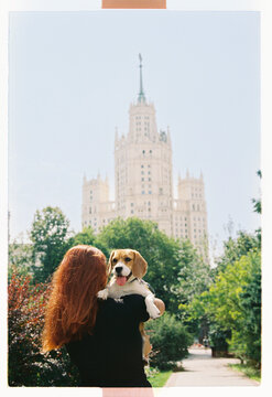 A beagle peers over a shoulder as the city rises behind