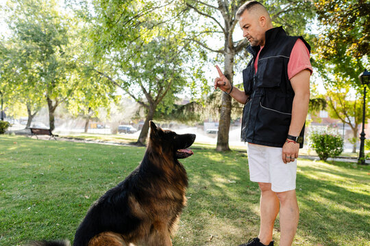 Man training german shepherd dog in park on sunny day