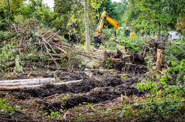 Yellow excavator boom and arm in the midst of logs, piled broken trees and stumps © GrB