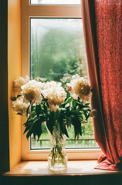 The bouquet of peonies on the windowsill
