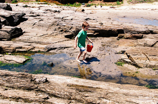 Child with bucket plays in tide pools on the coast of Maine