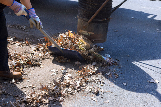 Worker uses shovel to gather dry leaves in park leaves are piled on ground, season shows clear signs of autumn.