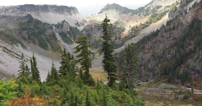 Mt. Baker-Snoqualmie National Forest, Washington.  Stunning landscape view in the Artist Point area.