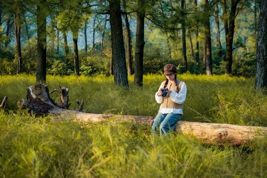 Woman in a newsboy cap sitting on a fallen log checking her camera in a pine forest meadow, Chi Linh, Hai Phong, Vietnam