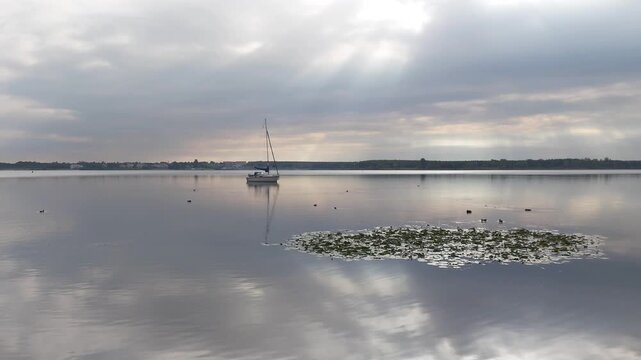 Ein Segelboot und Seerosen auf dem Cospudener See bei Leipzig, Sachsen