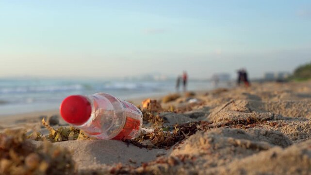A discarded plastic bottle on a sandy beach, illustrating the impact of pollution and littering on coastal environments and their ecosystems during daylight.