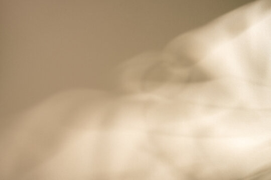Beige texture background with soft tropical palm leaf shadows