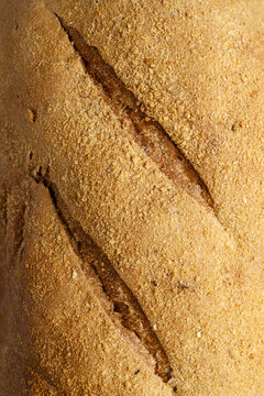 Texture of artisanal rye bread crust with bran close up
