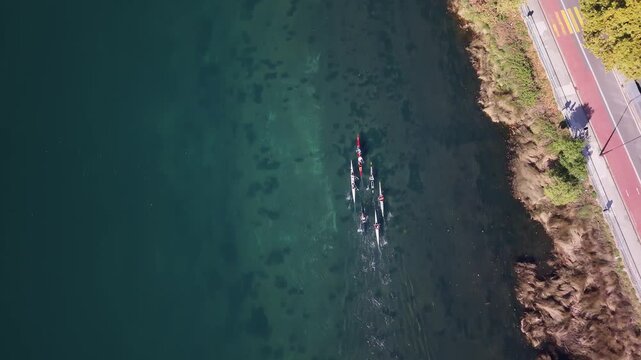 Aerial top down view of kayak team rowing on green water river