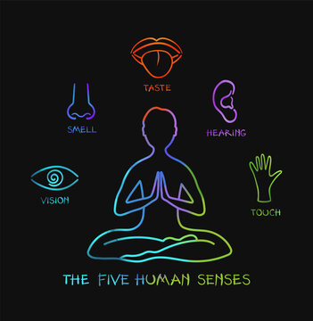 Human Five Senses Infographic Vector Poster