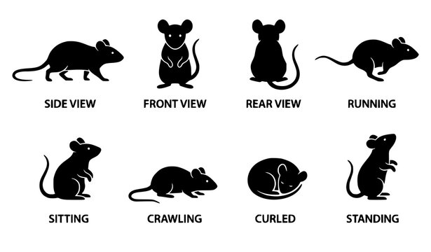 Black Mouse Silhouette Symbol Set, Rodent Poses and Animal Icons, Vector Illustration