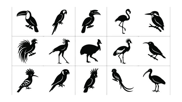 Silhouette Collection of Exotic Birds: A striking set of black silhouette illustrations showcasing a variety of exotic birds, from toucans and parrots to flamingos and kingfishers.