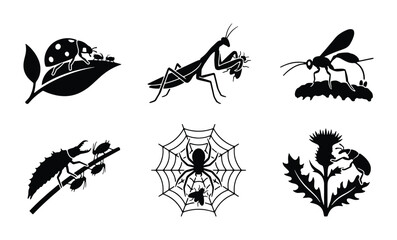 Fototapeta premium Insect Vector Icons Set: Ladybug, Praying Mantis, Wasp, Larva, Spider, Beetle Graphics