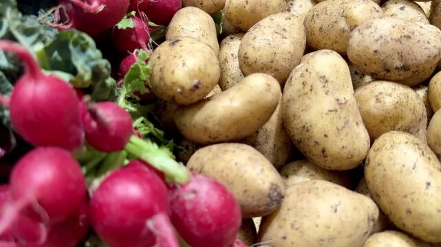 Radishes Potatoes and Radicchio on a Market Stall