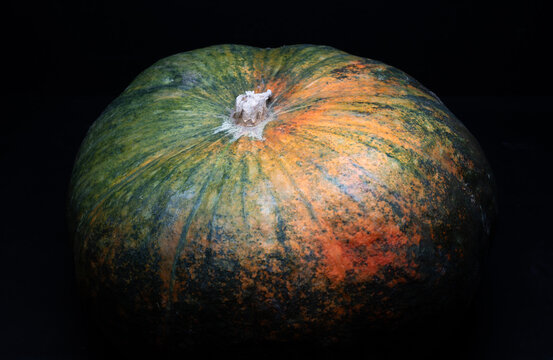 Still life of edible pumpkins