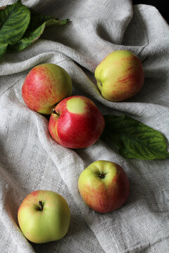 Garden apples and fallen leaves on a linen tablecloth with waves. Gardening, fruit cultivation.