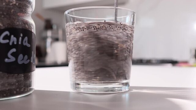 Chia Seed Gel Forming in Water: Hydrated Seed Swelling Demonstration for Gut Health