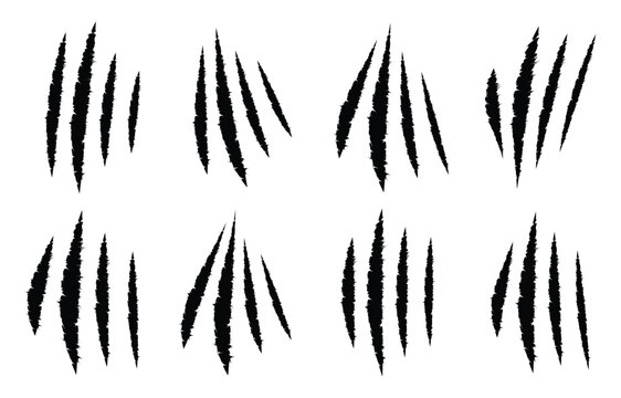 Claw scratch icon set. Black horror slash marks, tiger or bear paw rips, and predator talon scratches illustration.