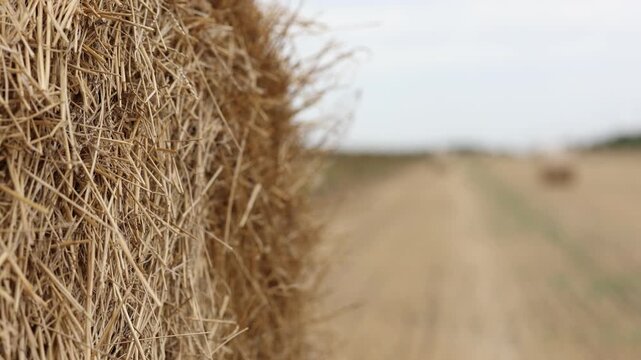 Close Up View of a Large Hay Bale in a Harvested Field on a Cloudy Summer Day in the Countryside