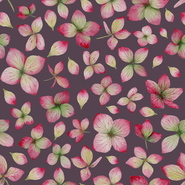 Pink watercolor hydrangea flowers on dark plum seamless pattern