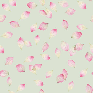 Pink watercolor hydrangea petals on sage green seamless pattern