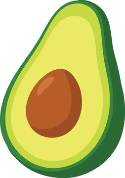 Flat Vector Half Avocado Illustration for Healthy Food, Nutrition, Vegan Cooking and Fresh Produce