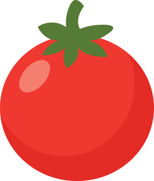 Flat Vector Red Tomato Illustration for Healthy Food, Fresh Produce, Cooking and Vegetable Design