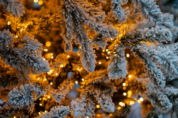 Snow covered Christmas tree branches decorated with warm glowing holiday lights creating festive mood © kazakova0684