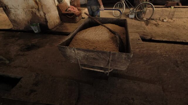 Worker pushing wheelbarrow full of animal feed inside barn on a dairy farm