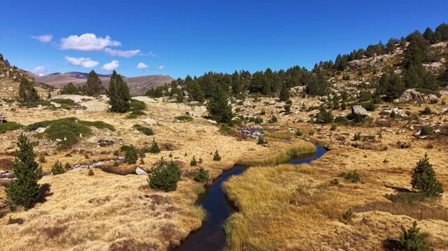 Scenic alpine valley at Pessons Cirque in Andorra showing a winding mountain stream through golden grasslands, scattered pine trees and rocky terrain under blue sky