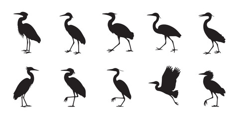 Fototapeta premium Black heron silhouette collection showing various standing and flying postures for environmental and conservation projects.