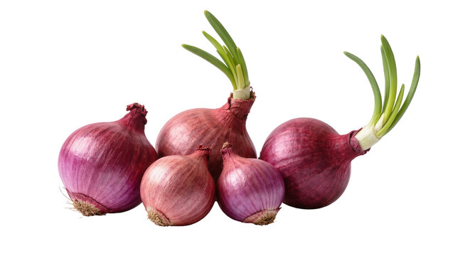 Group of red onions with green sprouts, isolated on transparent background