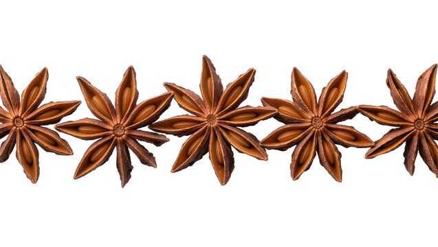 Brown star anise spice arranged in a row, isolated on transparent background