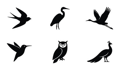 Fototapeta premium Diverse Bird Silhouettes Collection: Swallows, Heron, Crane, Hummingbird, Owl, Peacock Icons