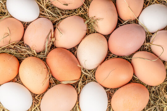 Assorted brown, beige, orange, and white eggs arranged closely among dry straw, showing varied natural colors, oval shapes, and textured shells in a nest