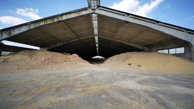 Large open barn storing two piles of animal feed or grain on a farm