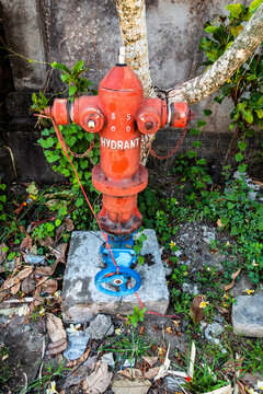 BALI Various 2