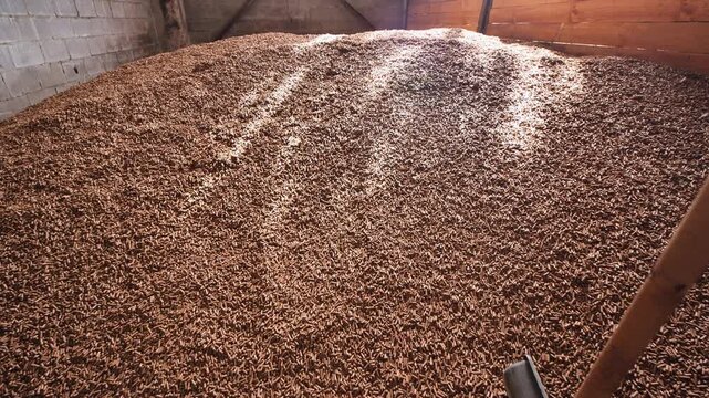 Large pile of brown feed pellets for livestock in barn with shovel
