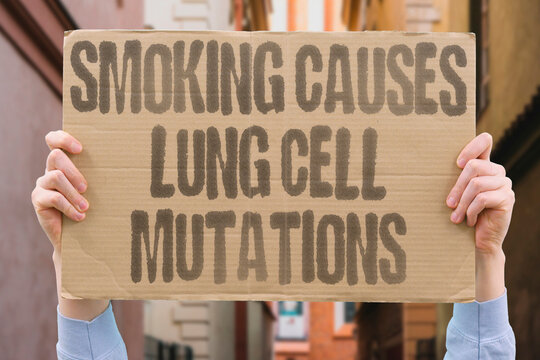 "Smoking causes lung cell mutations" Tar and toxins rewrite genetic instructions. SMOKING. TAR. TOXINS. GENETIC. MUTATIONS.