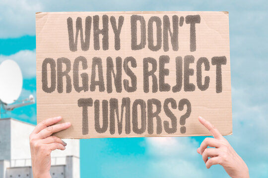 "Why don't organs reject tumors?" Immune system fails to attack. EVASION. IMMUNE. RECOGNITION. ESCAPE. TOLERANCE.