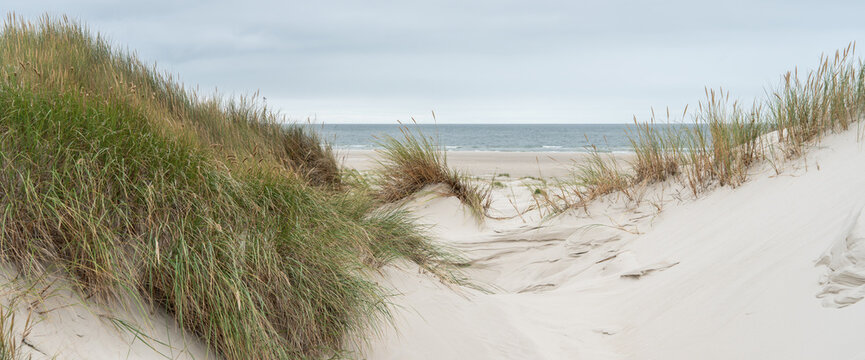 In den D&uuml;nen der Nordsee