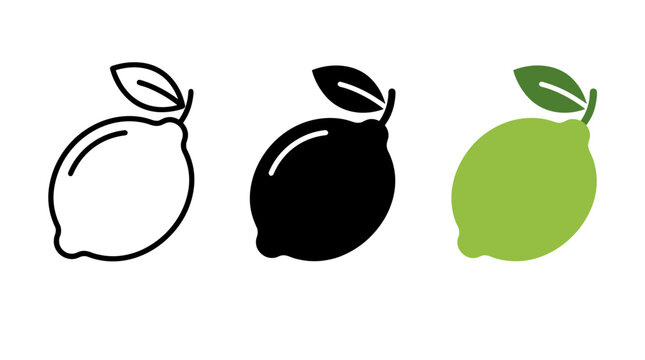 Fresh green lemon citrus fruit vector icon illustration