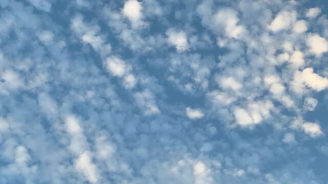High cloudlets, some bright, others opaque, patterned by wind currents, just after sunrise on a calm September morning in southwest Florida. 4K, real time. Motifs of natural formation and transience.